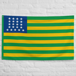 1889 First Brazil Flag featuring green and yellow stripes with a blue canton of white stars representing the provisional Brazilian Republic.