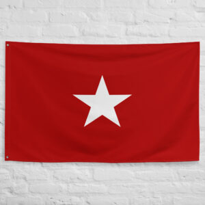 Army of New Mexico Flag featuring a white star on a red background representing the military heritage and history of New Mexico.