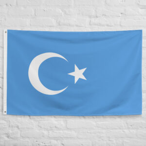 kokbayraq flag 100% polyester with 2 iron grommets kökbayraq flags